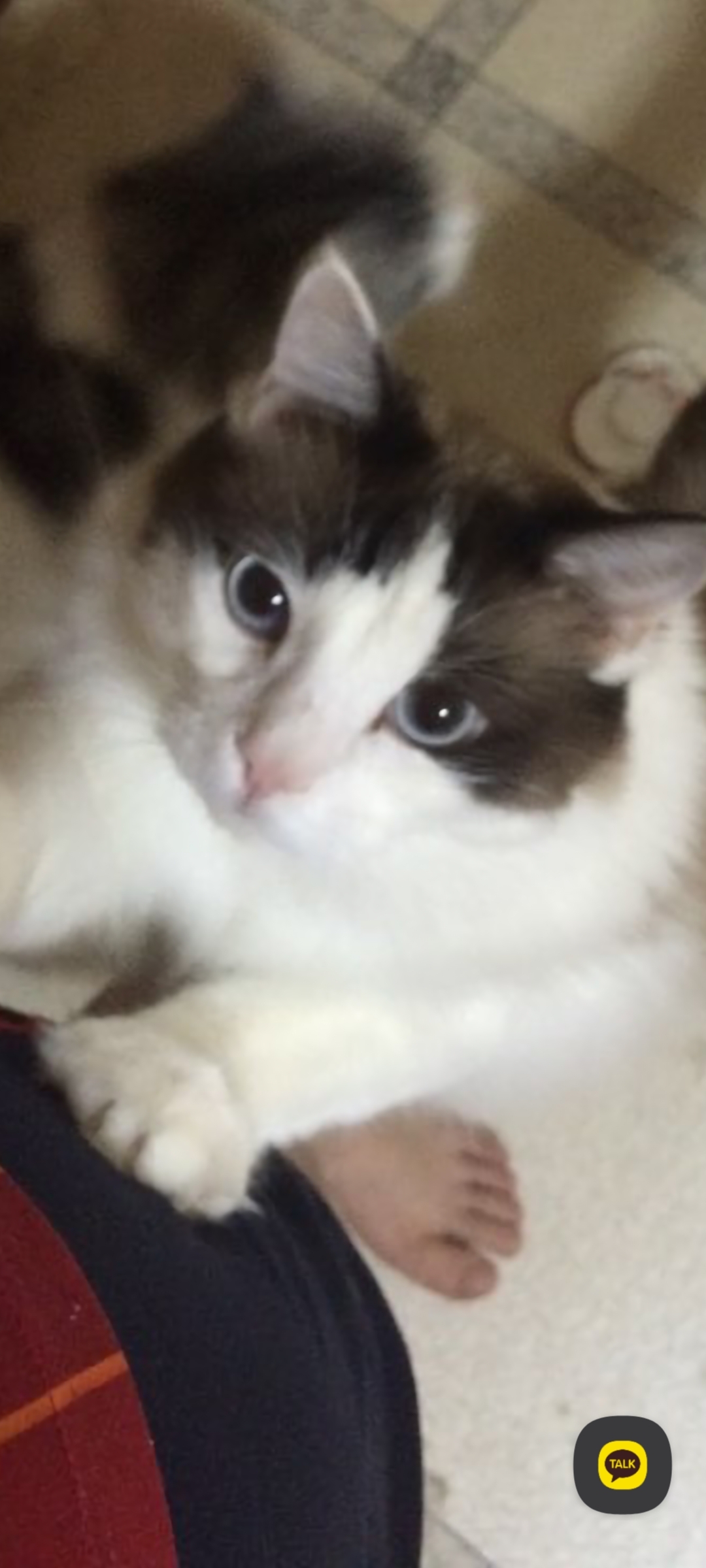 죠르륵죠륵죠륵