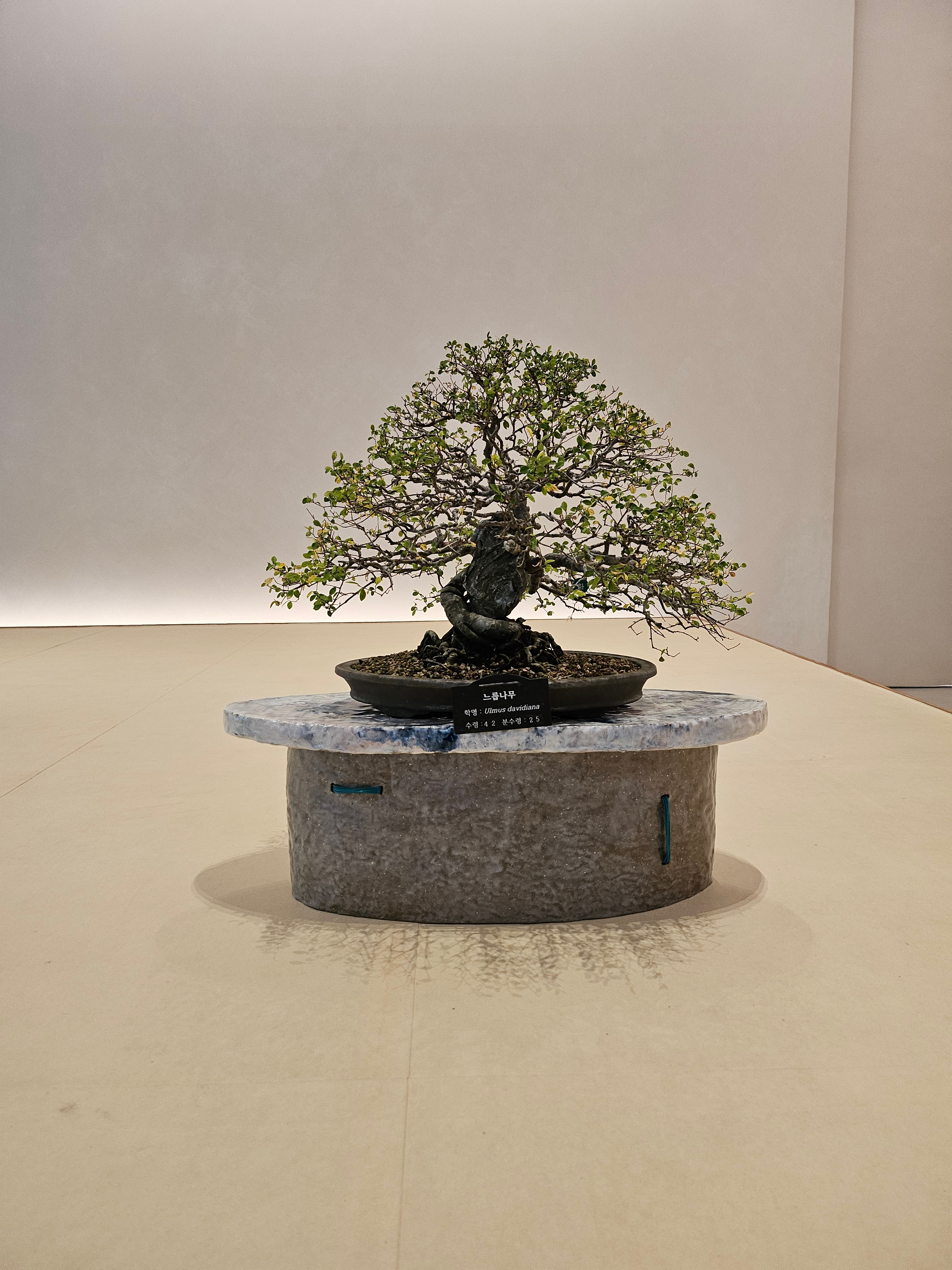 언젠가 행복해지겠지