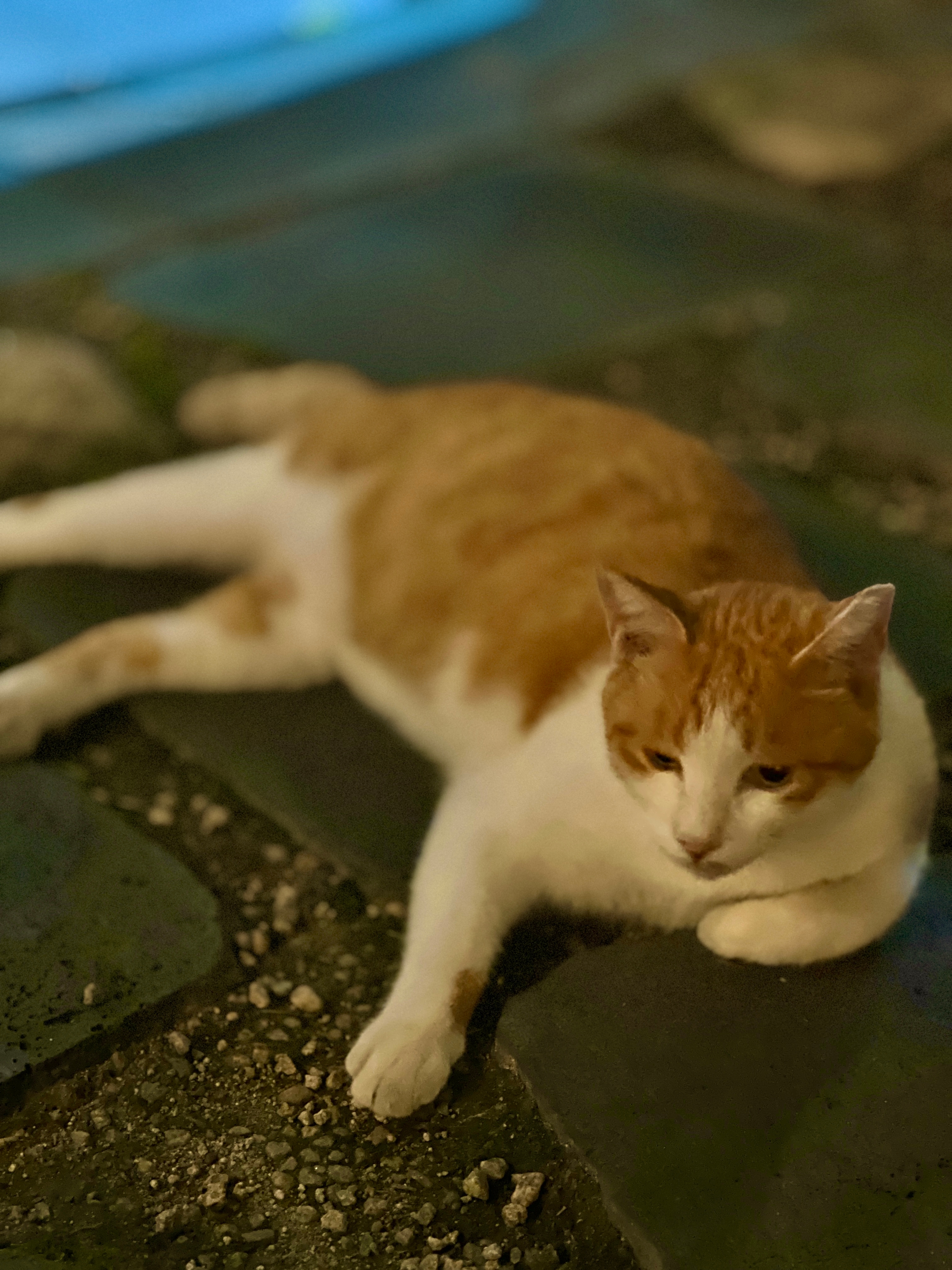 하루하루 한 발자국씩