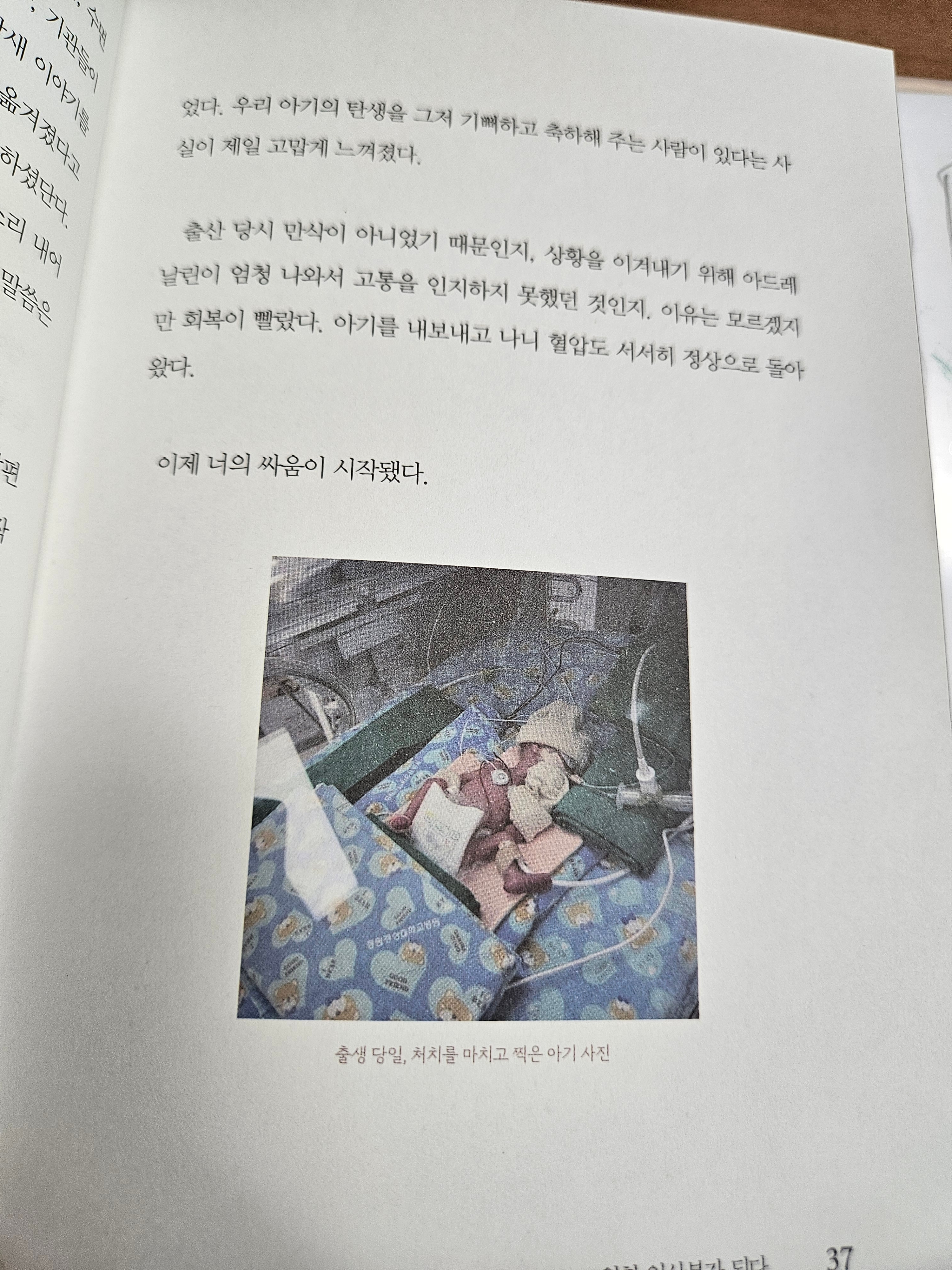 브런치 글 이미지 5