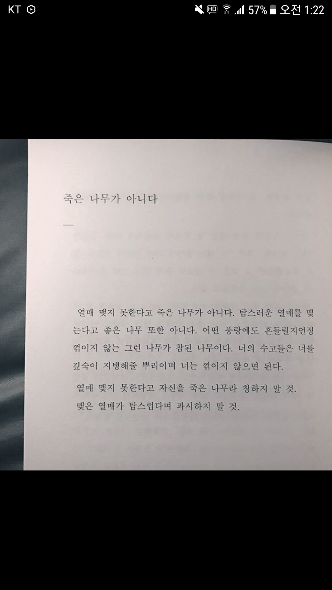 람희