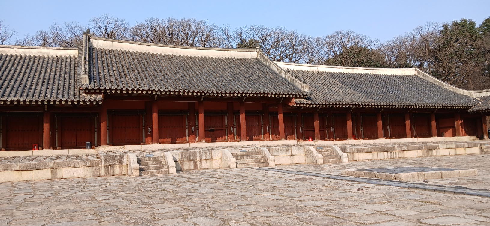 도시레아카데미