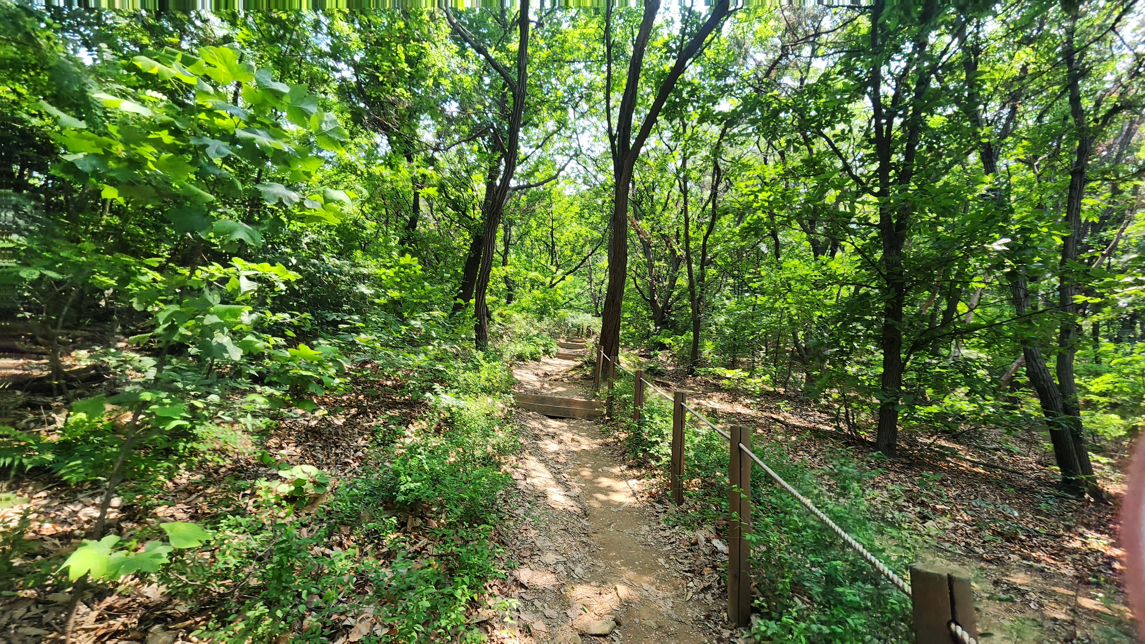 라벤더말차라떼