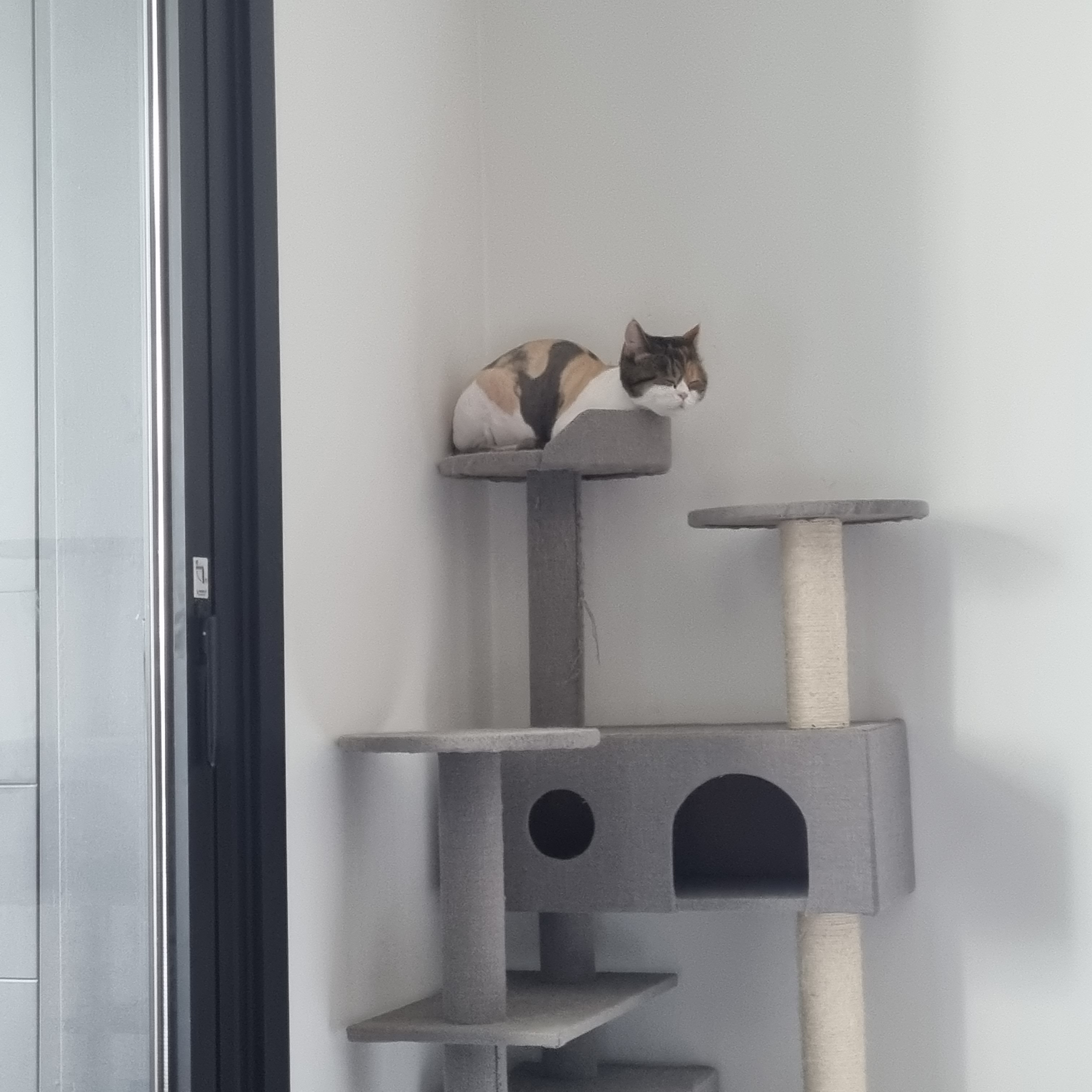 그러하니그러하다