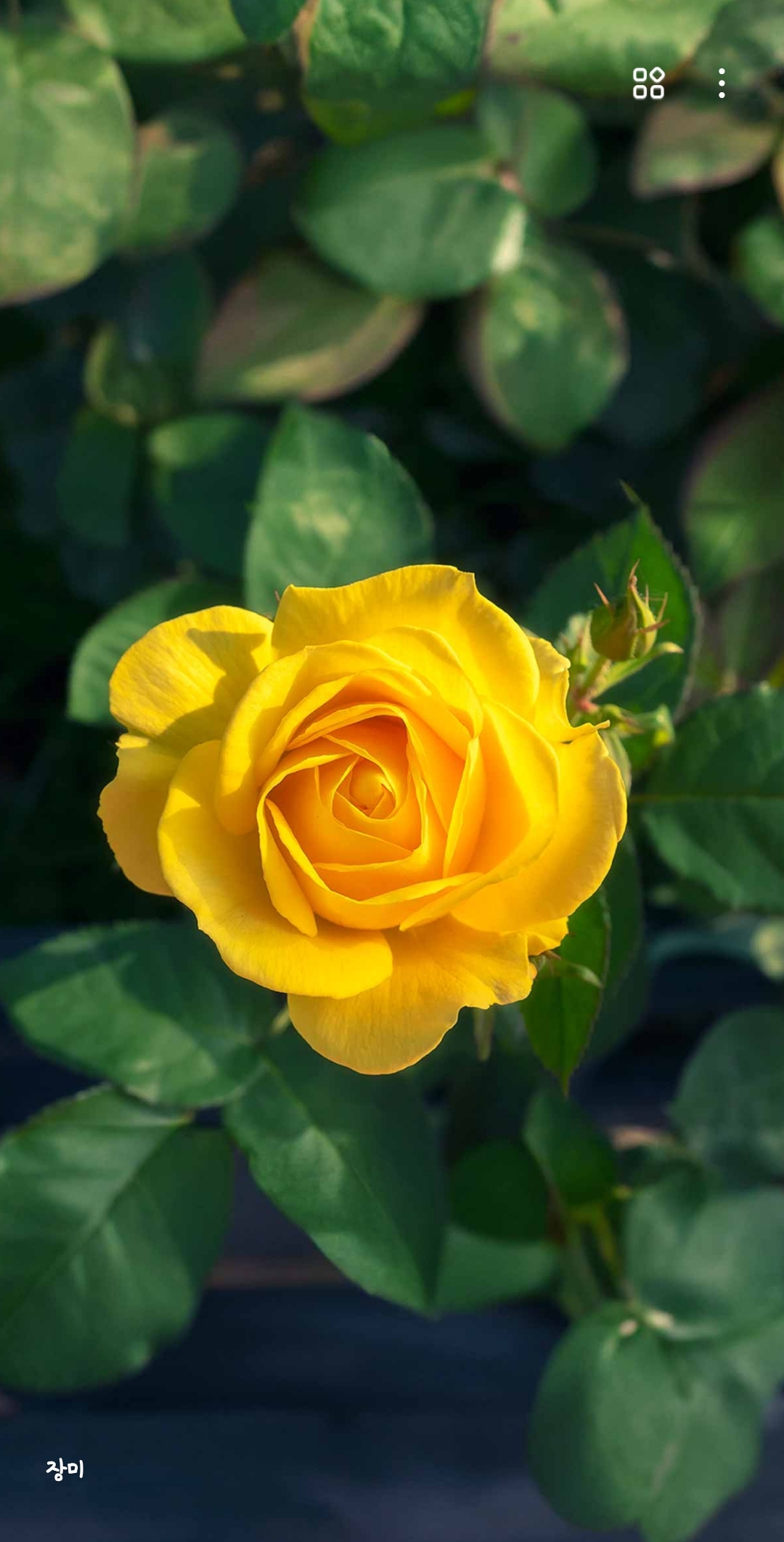 외로움마주하기