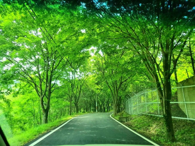 그냥 잘 살고 싶은