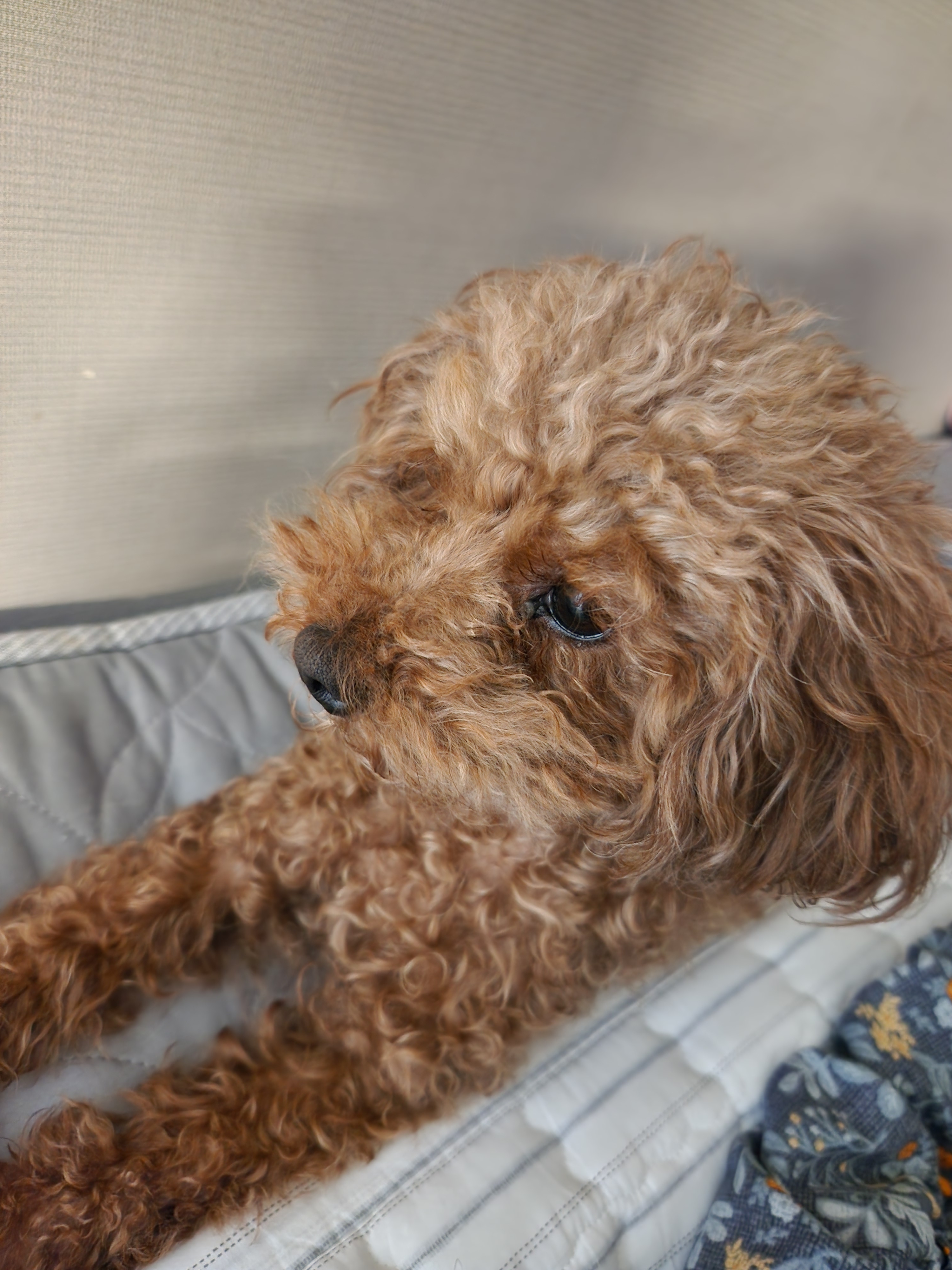 글 쓰는 대학생