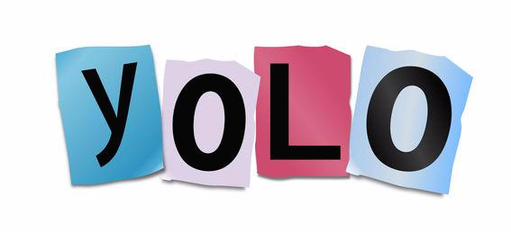 욜로(YOLO) 이미지