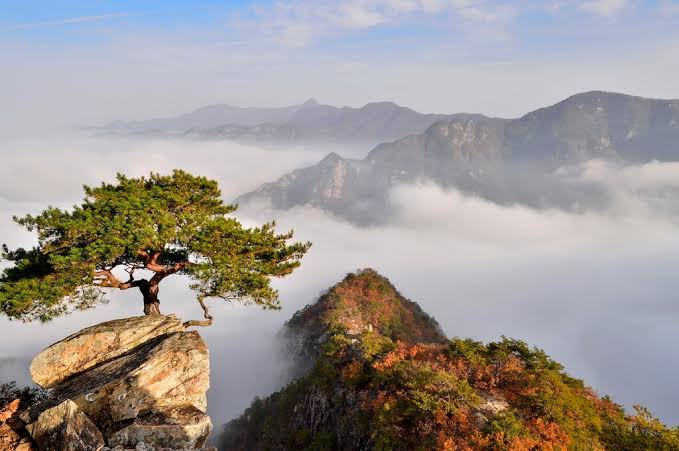 인생은 아름답다