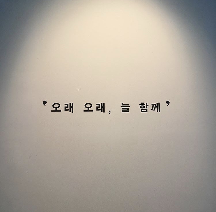 팡팡