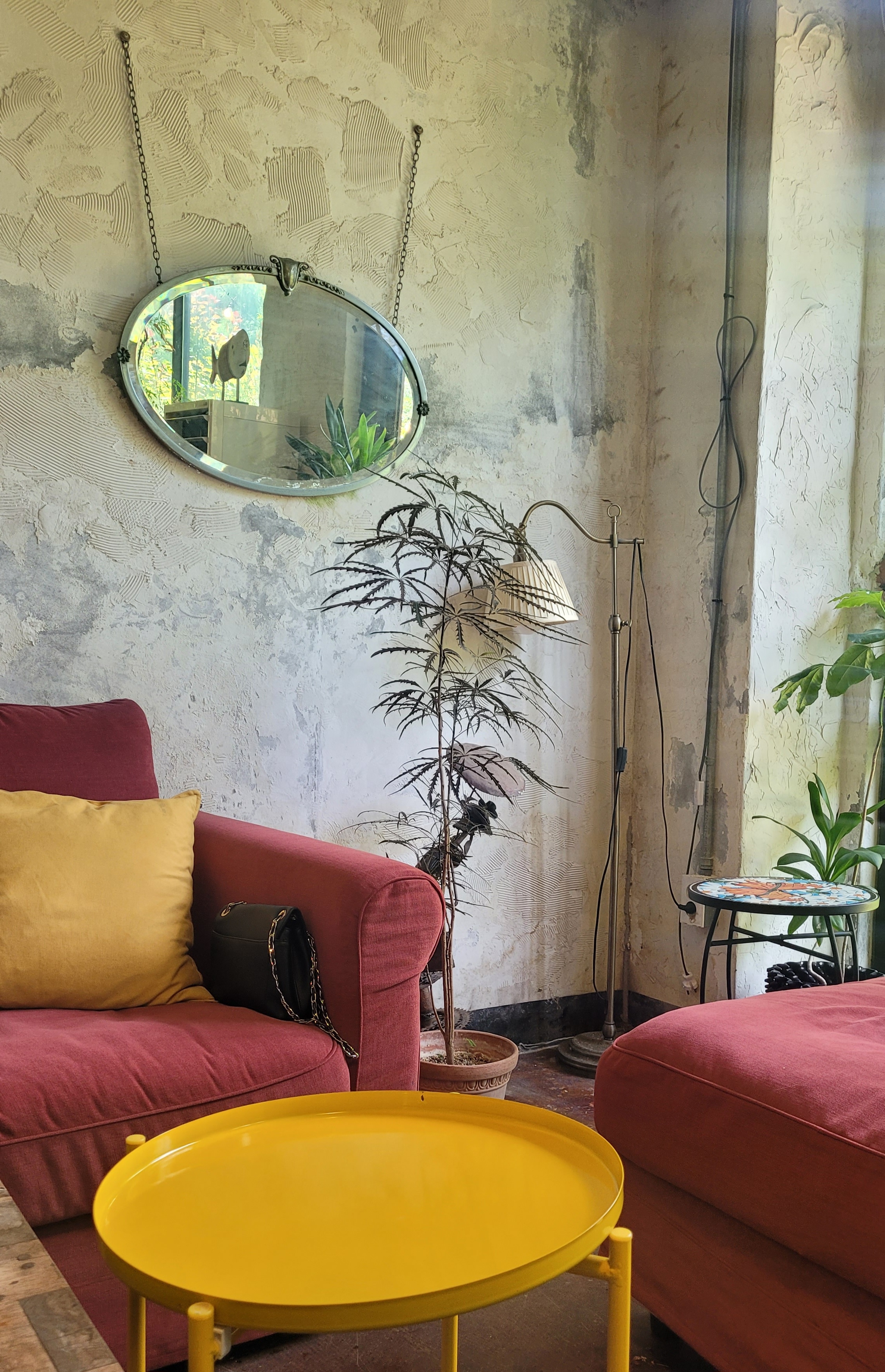 압락사스를보려는알속의사람