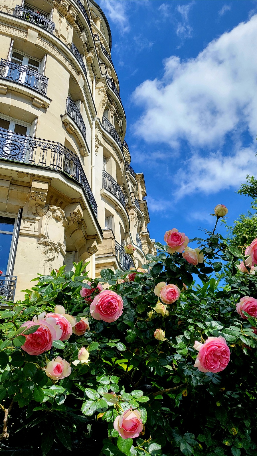 그림을걷는사람