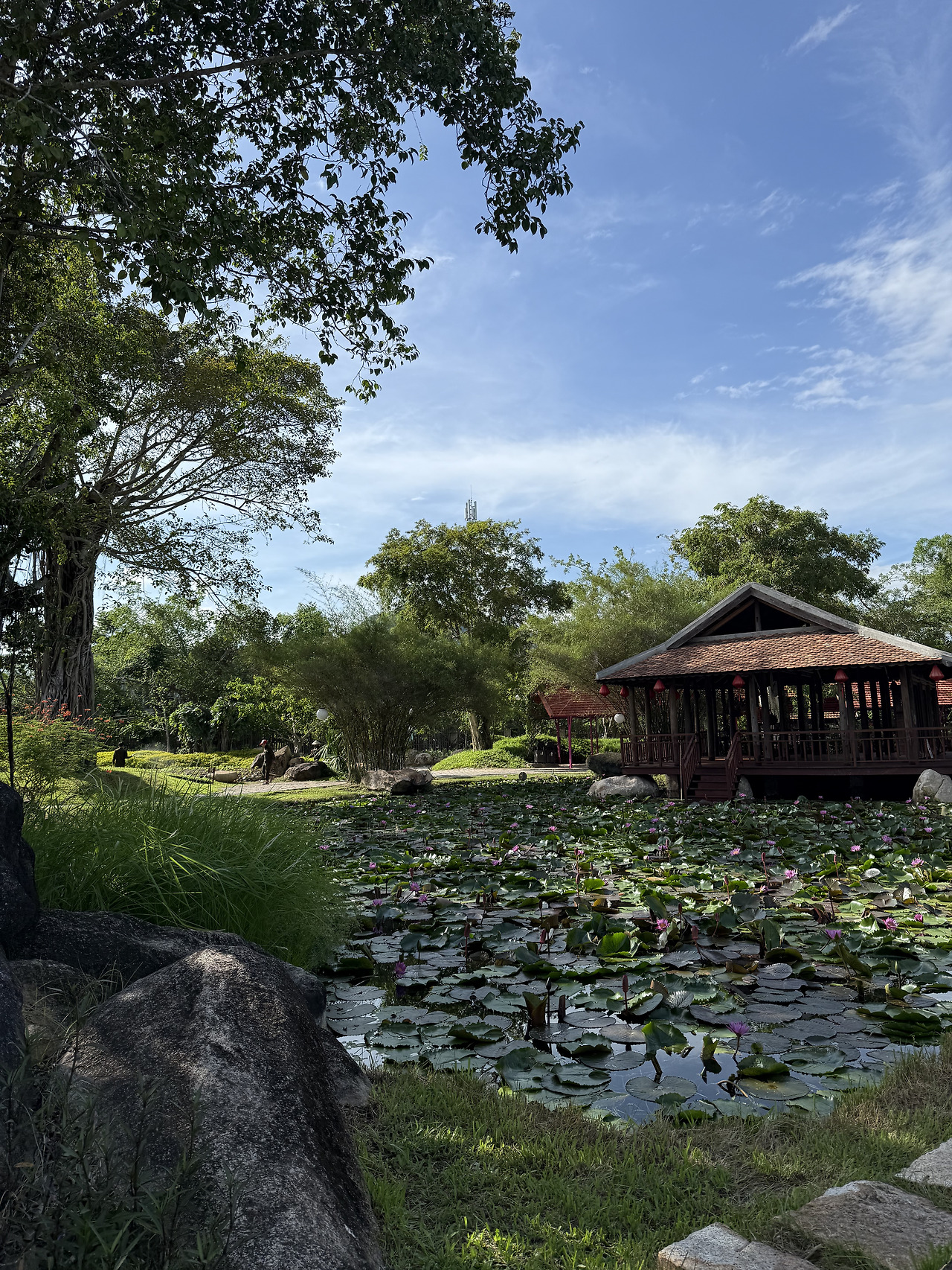 어쩌다 대학선배친구