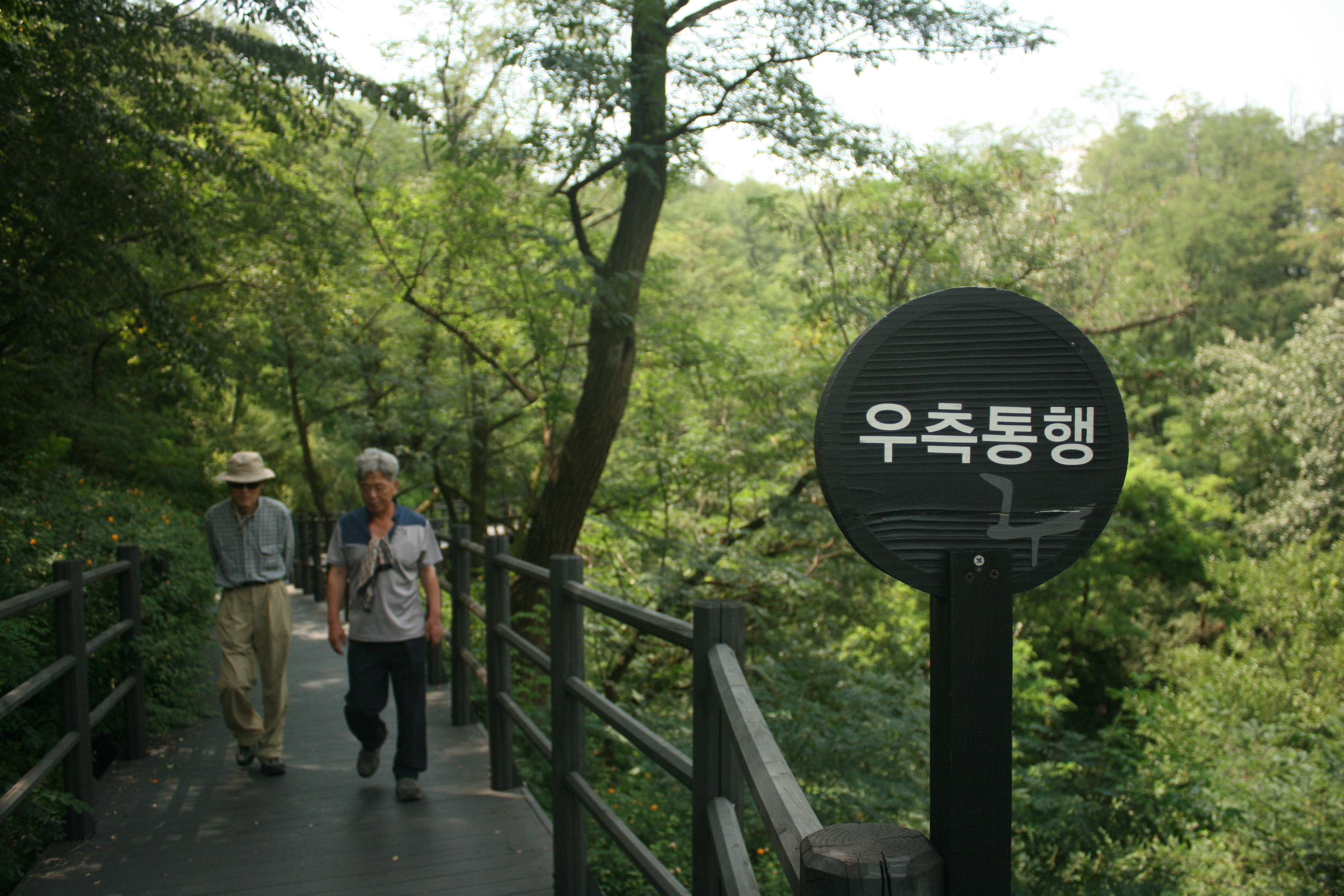 11. 안산자락길(Ⅰ)