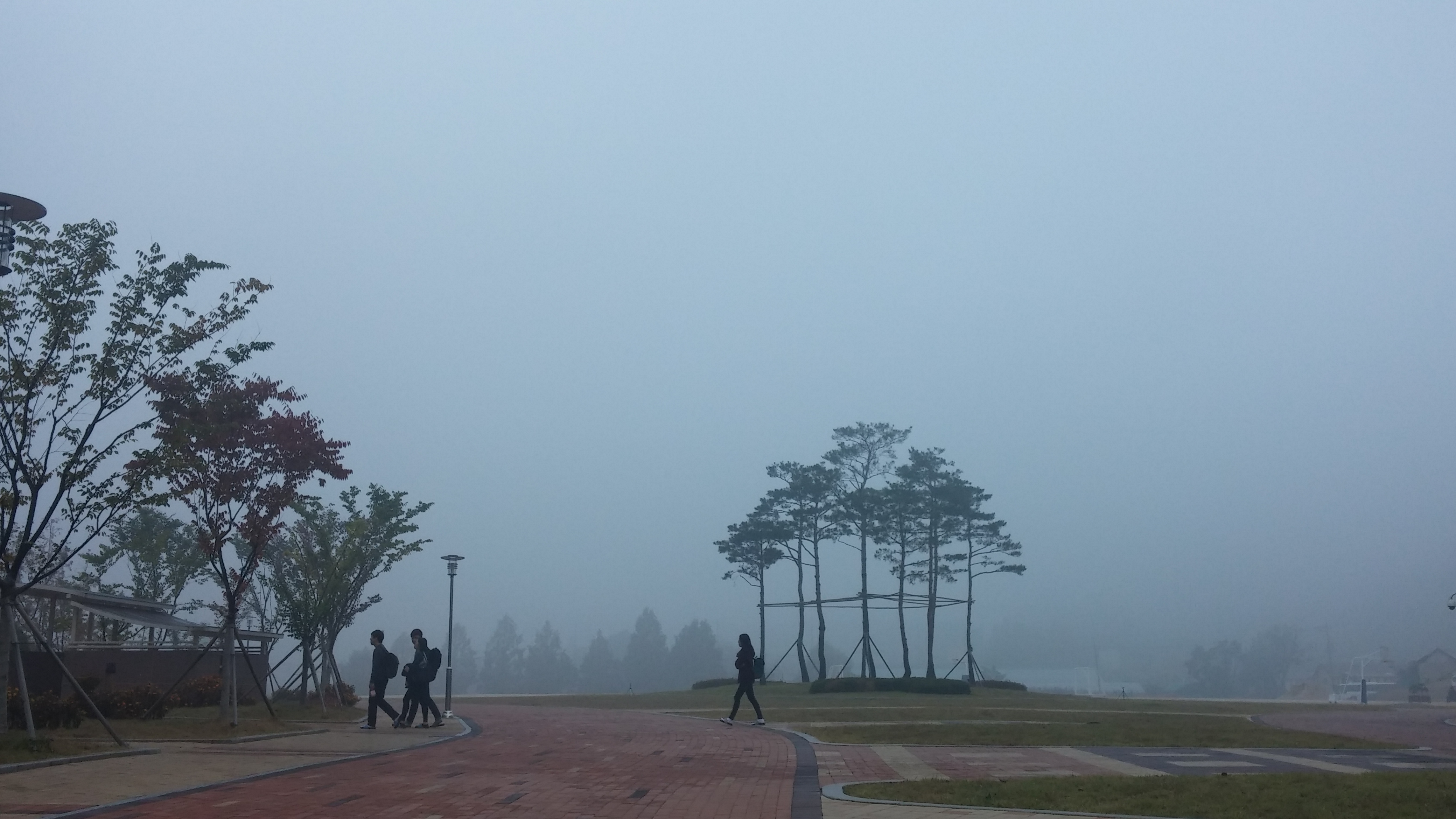 소나무 아홉 그루 - 동국대학교 바이오메디 캠퍼스...