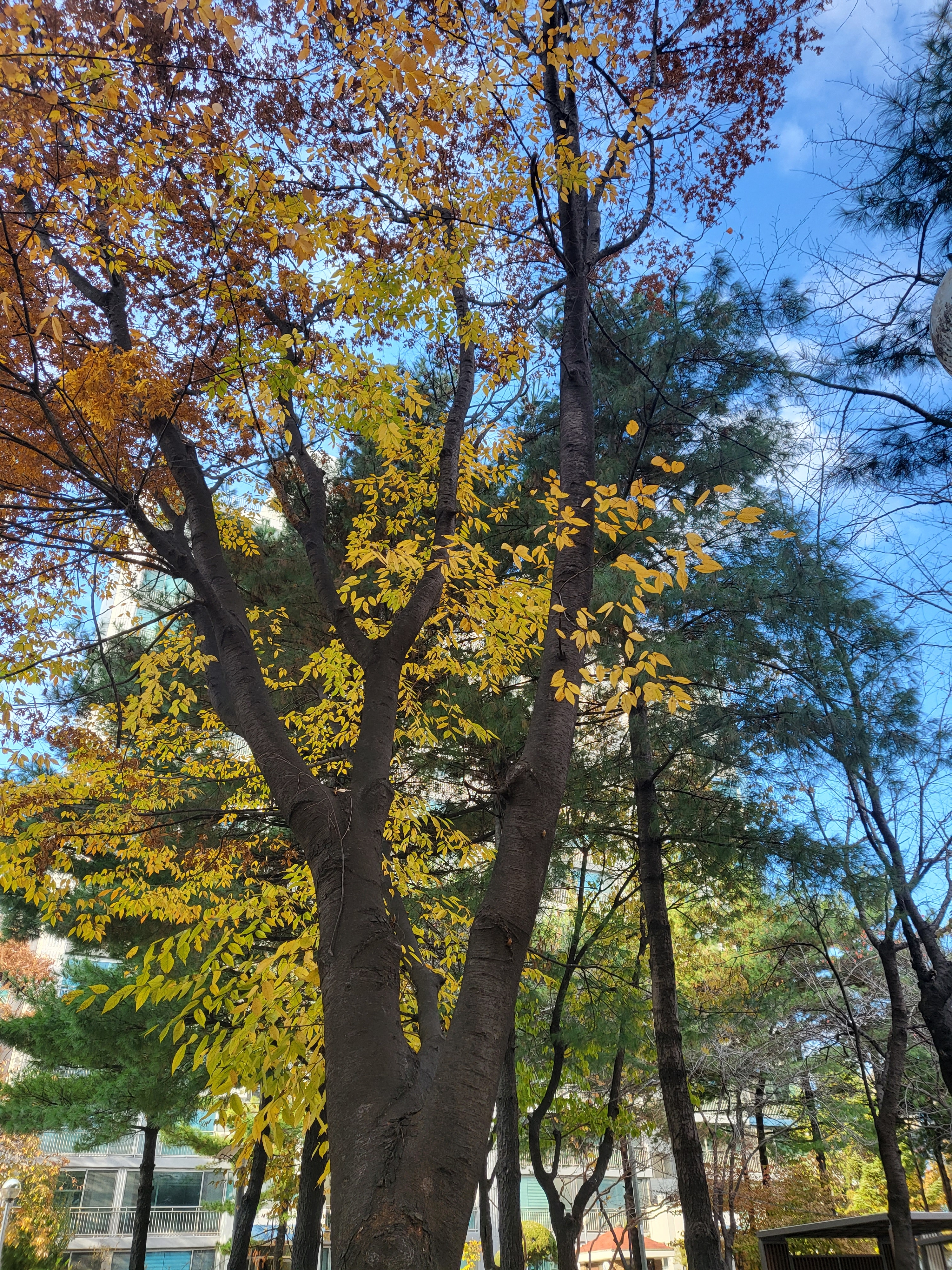 워킹맘의홀로서기