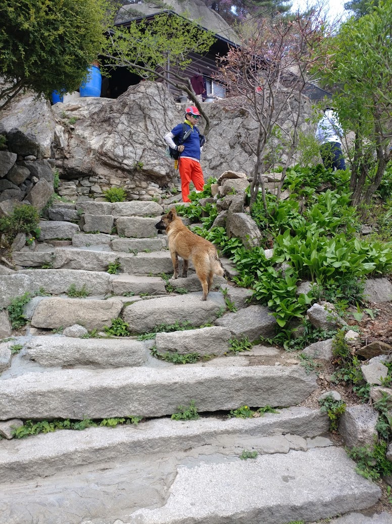 우이동 백두산 한증막 사우나 