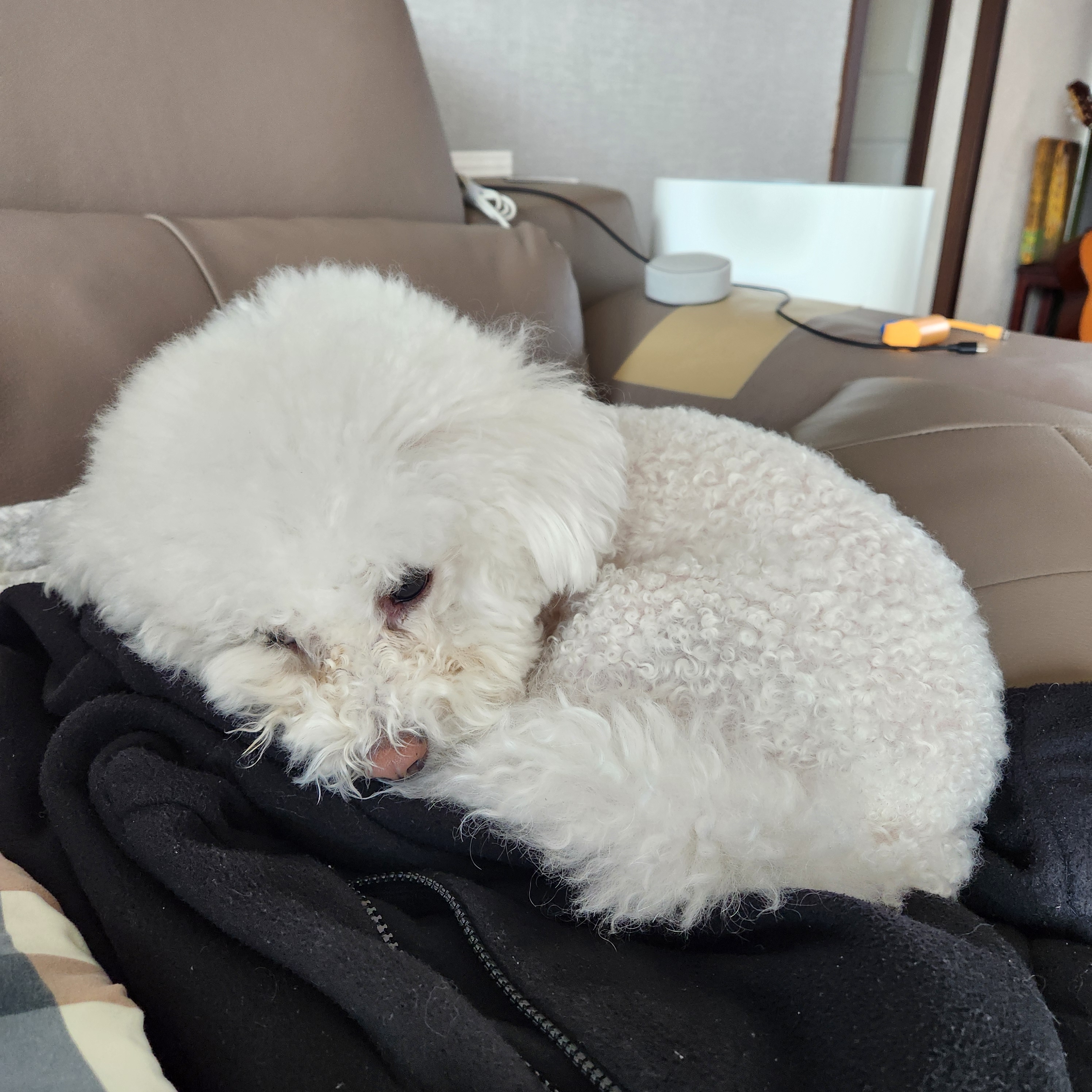 레오나르도호프스태터