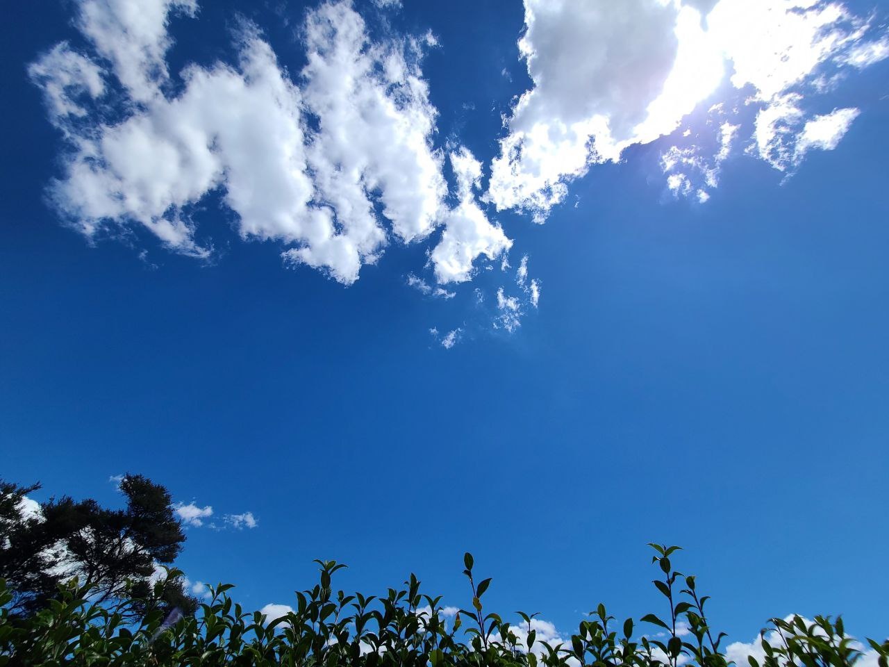 직소퍼즐 맞추기