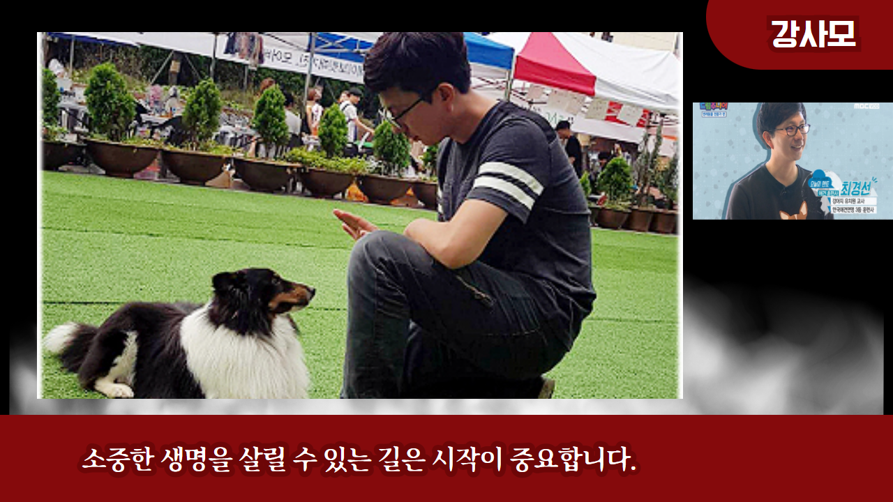 못된강아지 이미지