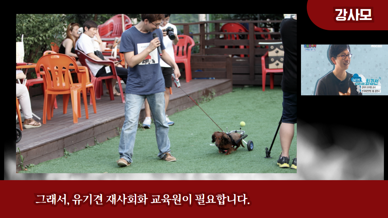 못된강아지 이미지