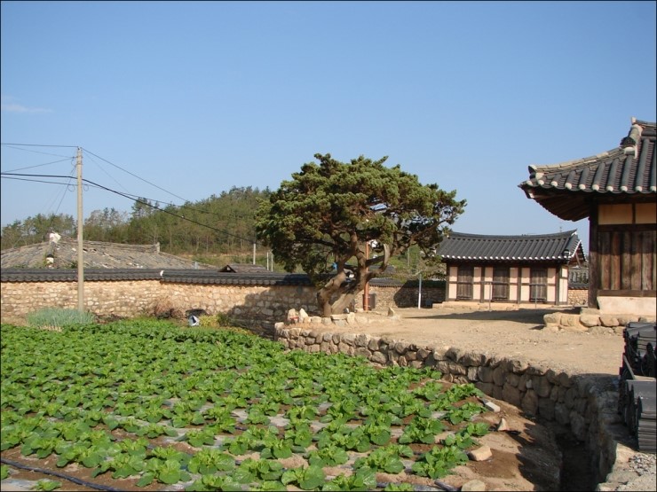 전라고택 이미지