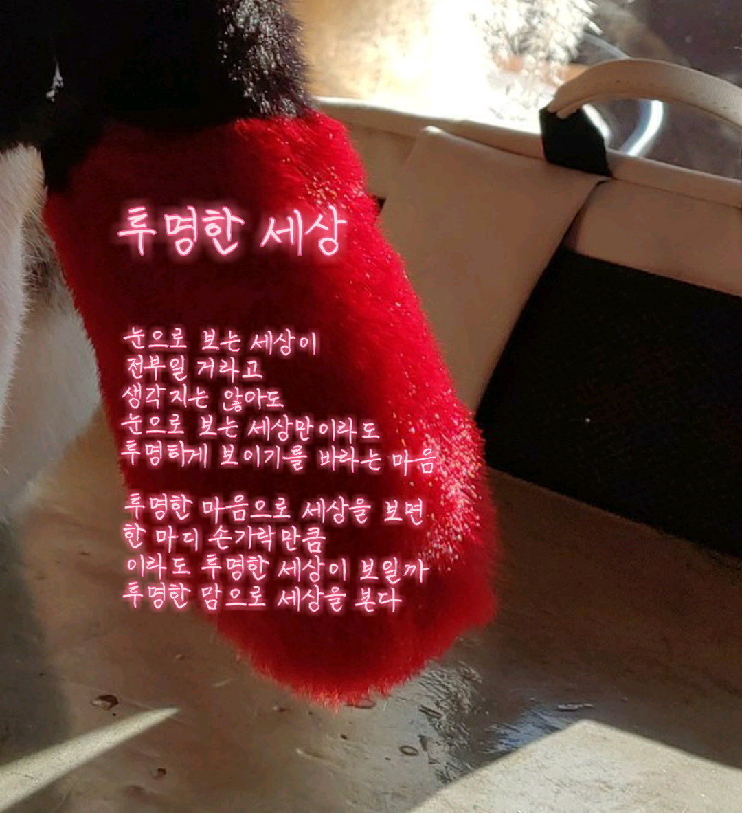 투명한세상 이미지