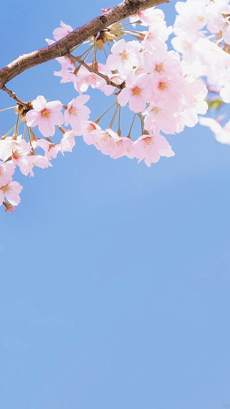 작당모의 이미지