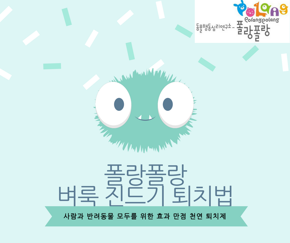 벼룩, 진드기와 영원히 작별하는 간단 신속 노하우...