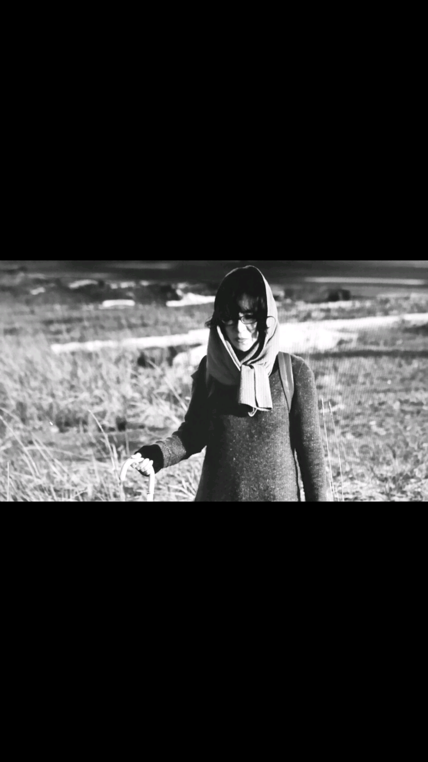 혜성초장 이미지