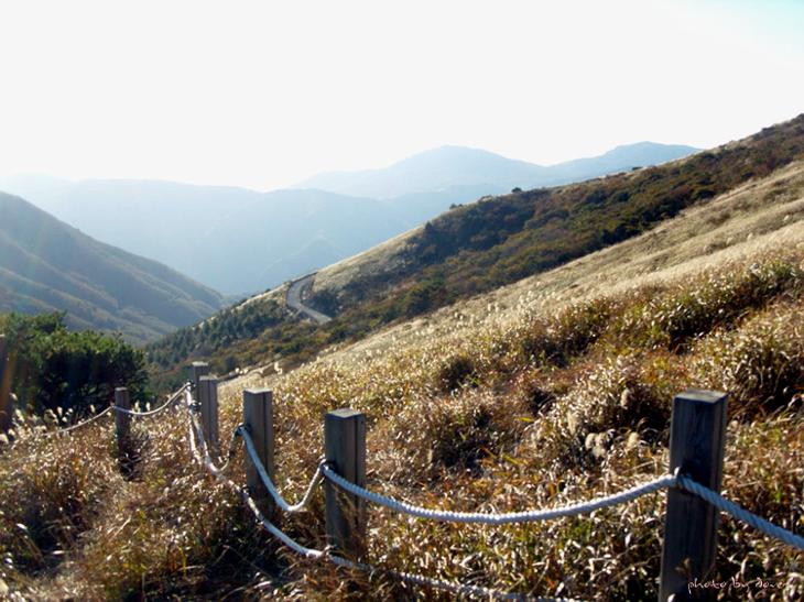 산 위에 펼쳐지는 은빛 바다의 품