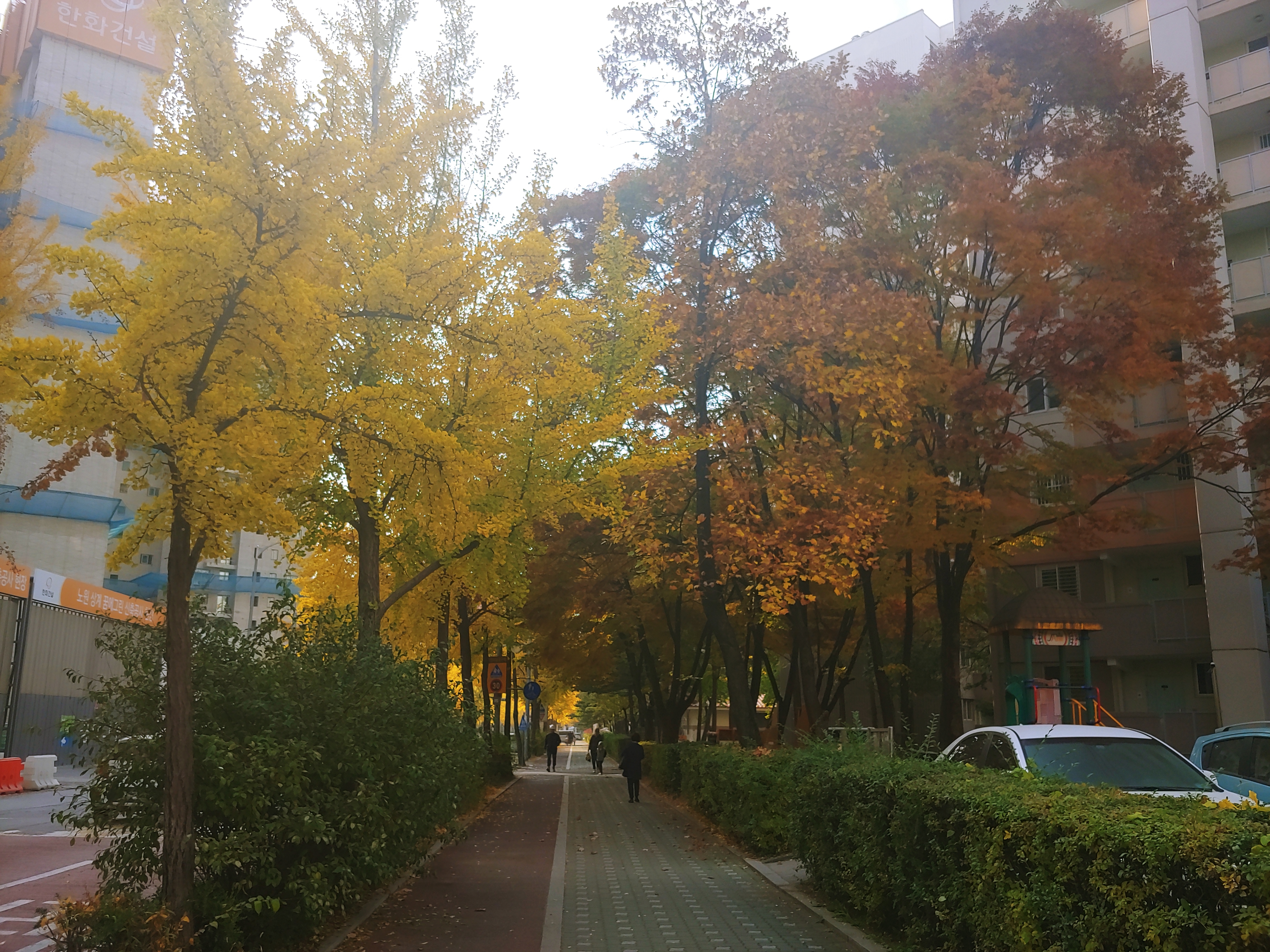 명도자전거 이미지