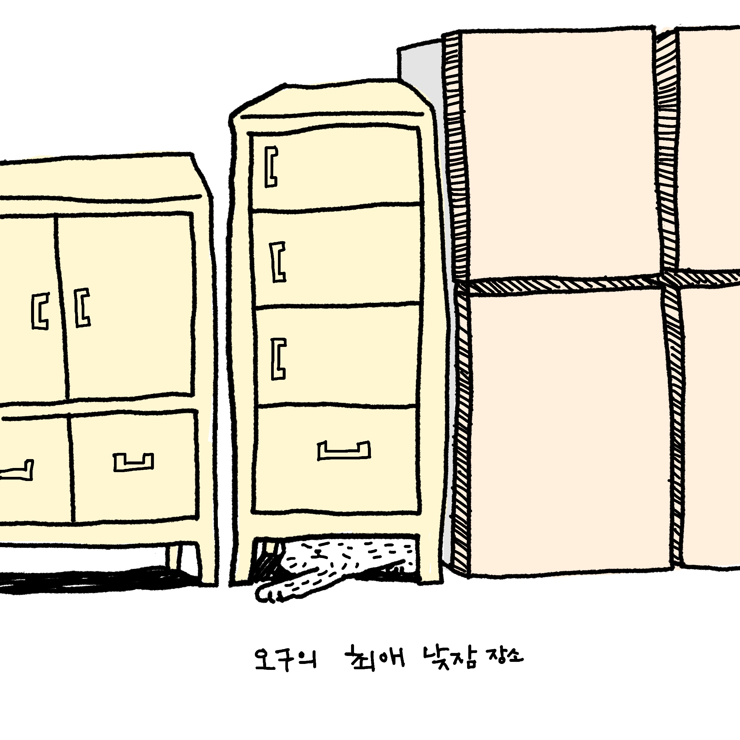 고양이낮잠 이미지