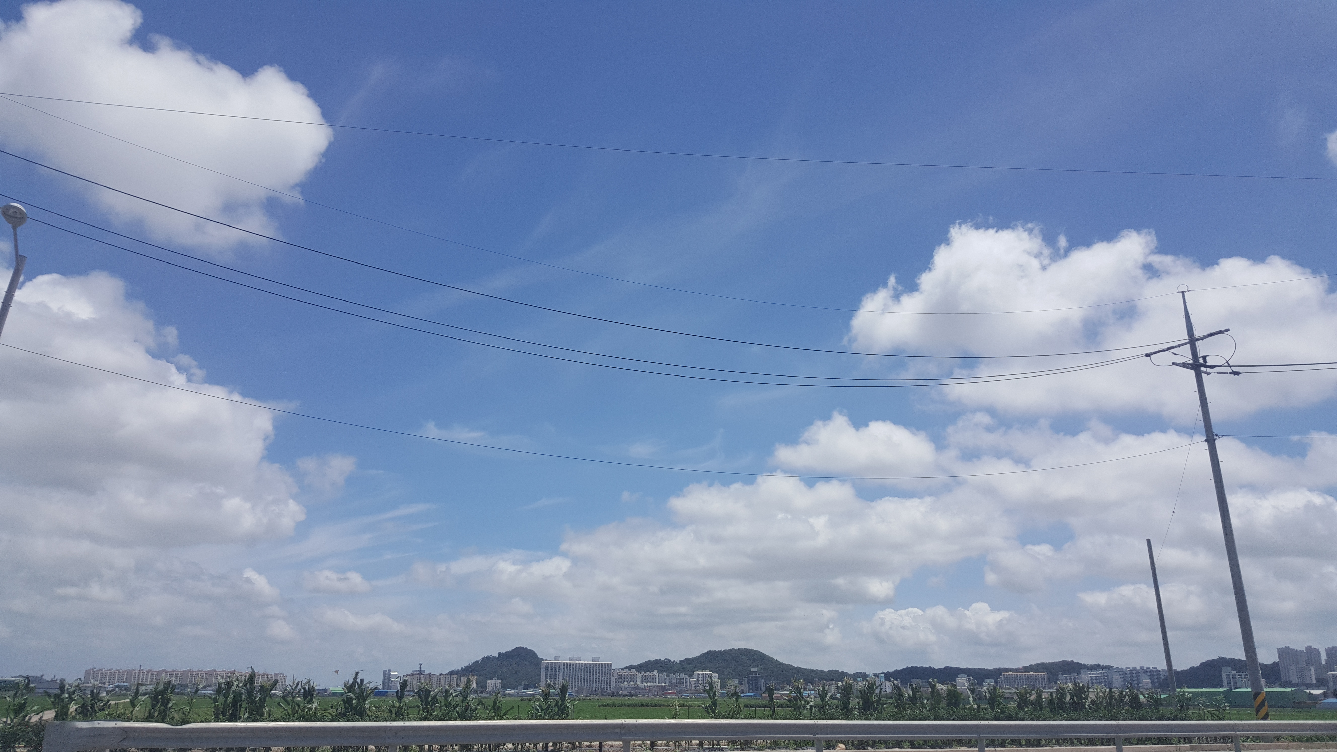 쉬운 글쓰는 단순한 여자