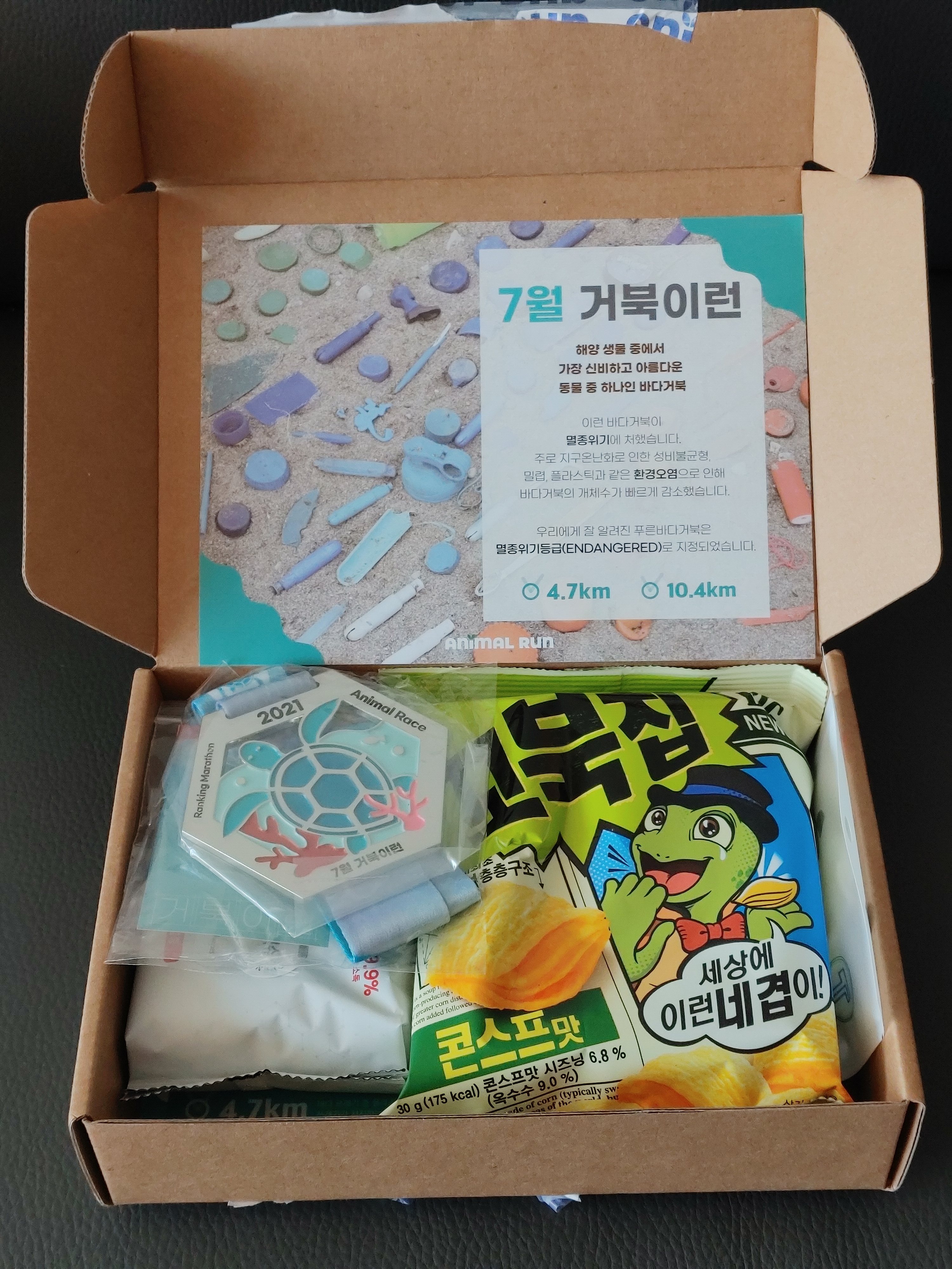 거북이 차과자 이미지