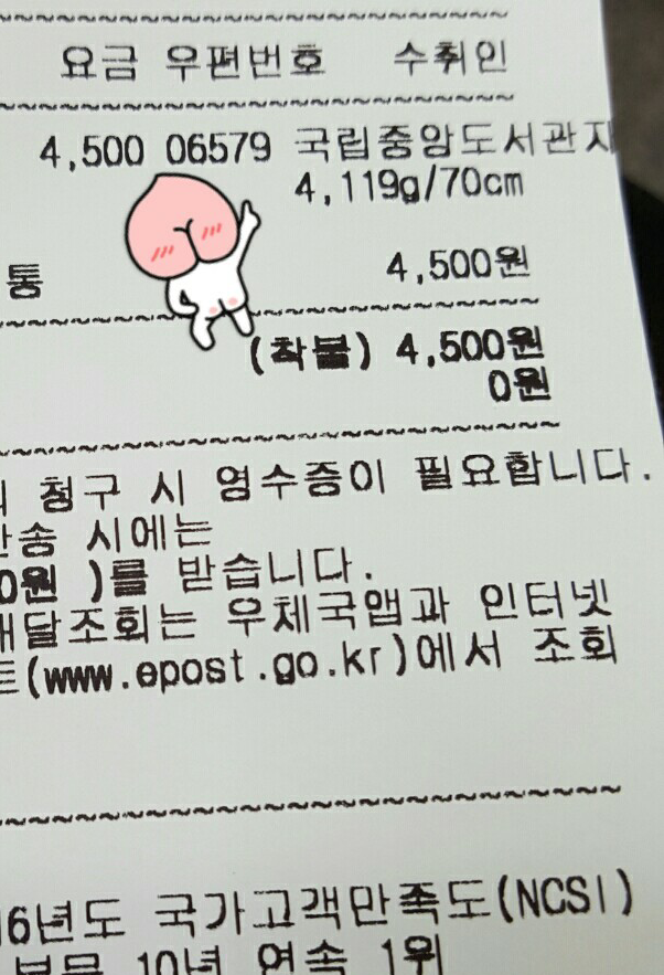병아리날다 이미지