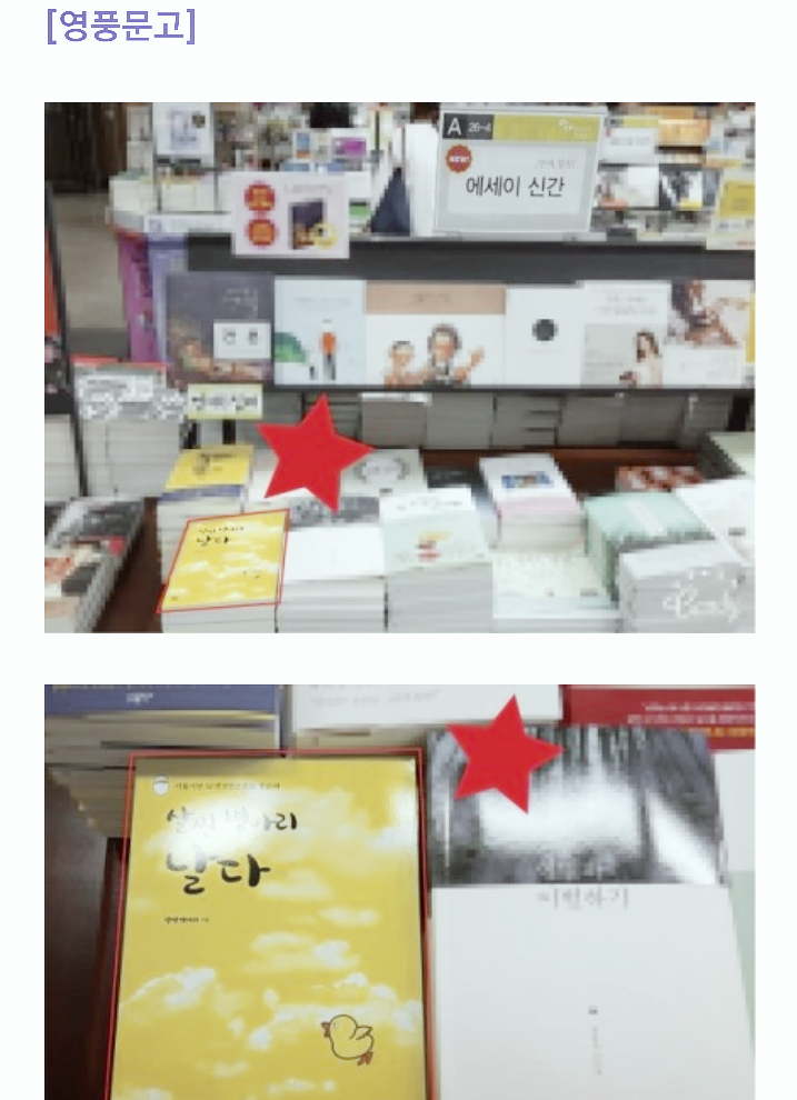 병아리날다 이미지