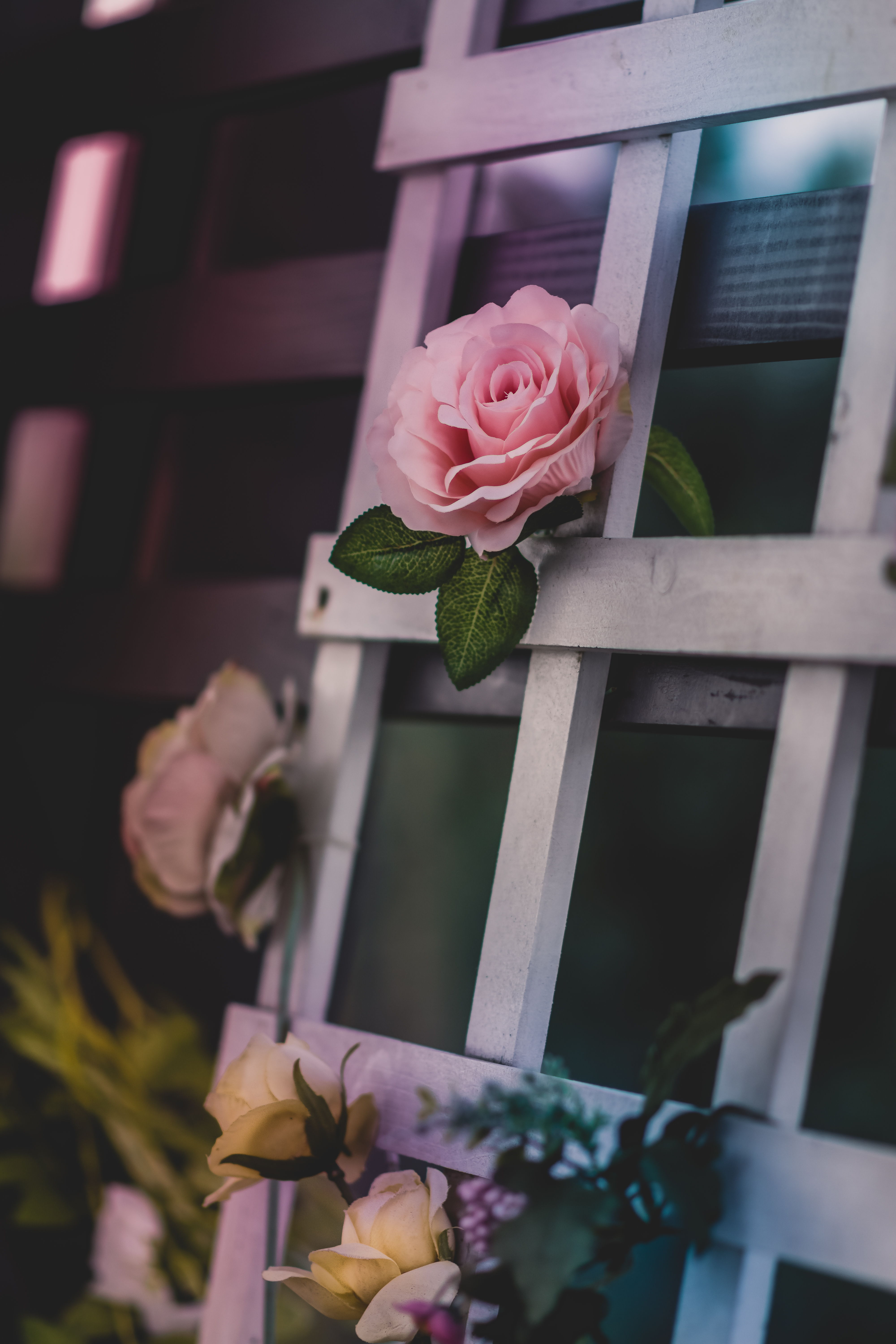 소유 - 사진 출처 : unsplash