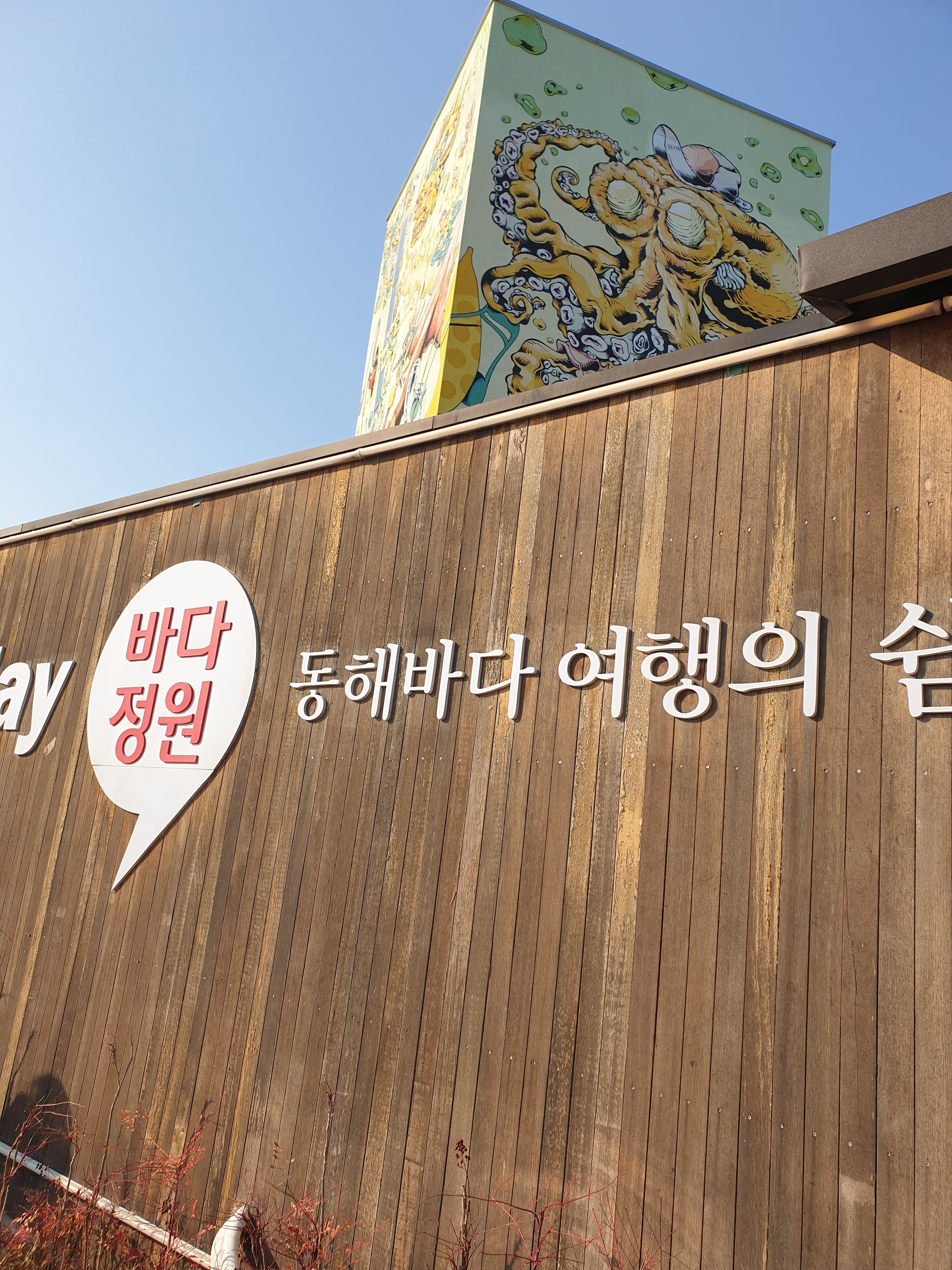 속초 바다정원.바다가 보이는 카페.좋다.