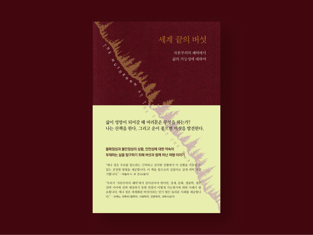 하웁트 이미지