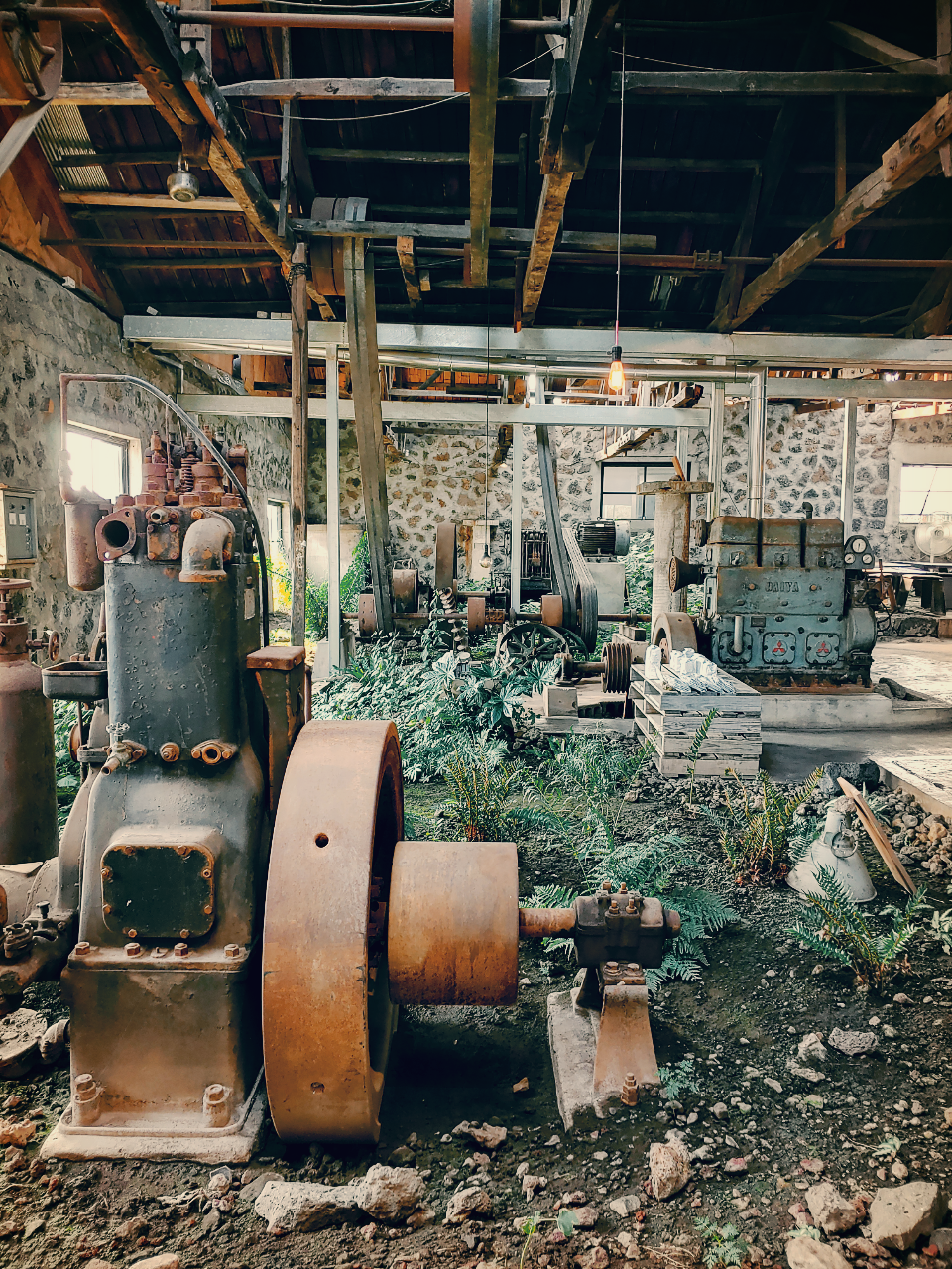 아프리카 서은진