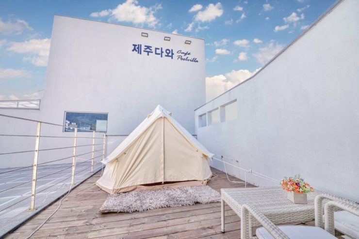 강아지와 함께 견생샷 보장하는 제주도 애견동반 숙소