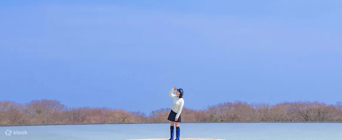 오션플러스 이미지