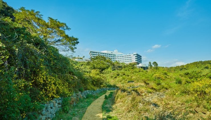 명품앤네이처 이미지