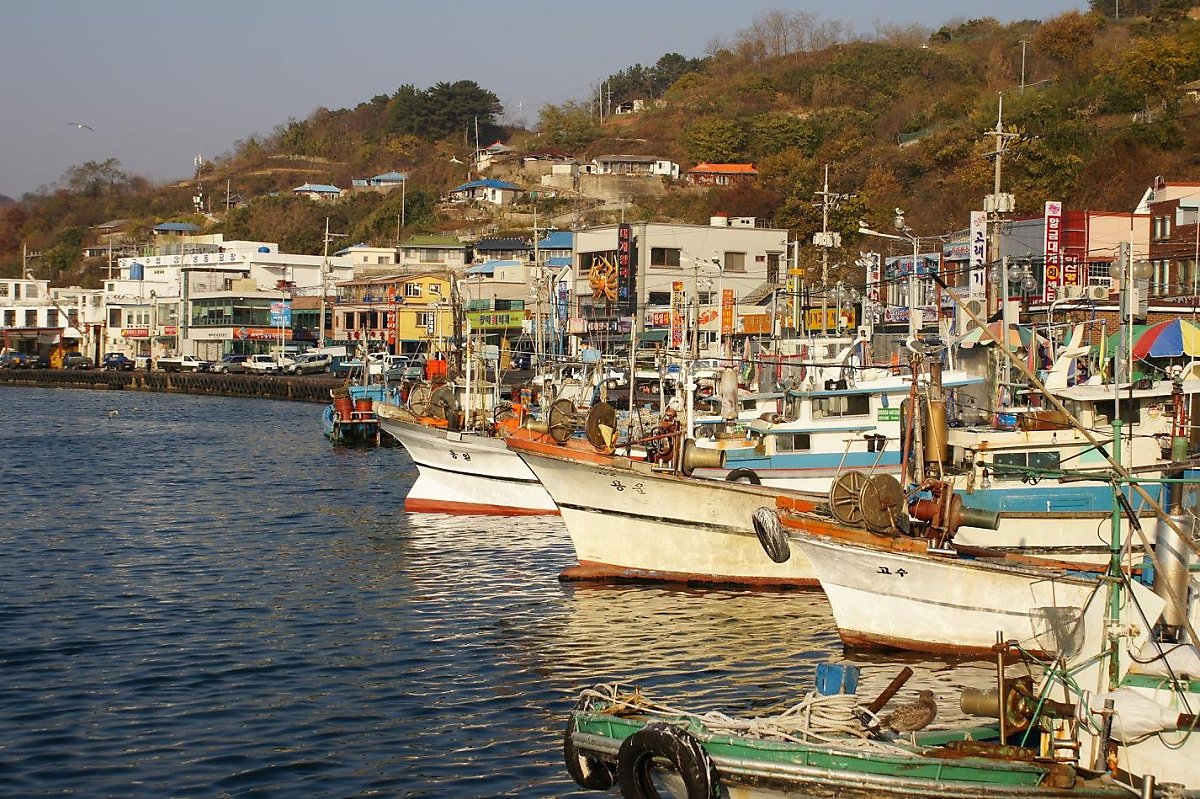 큰바다대게회식당 이미지