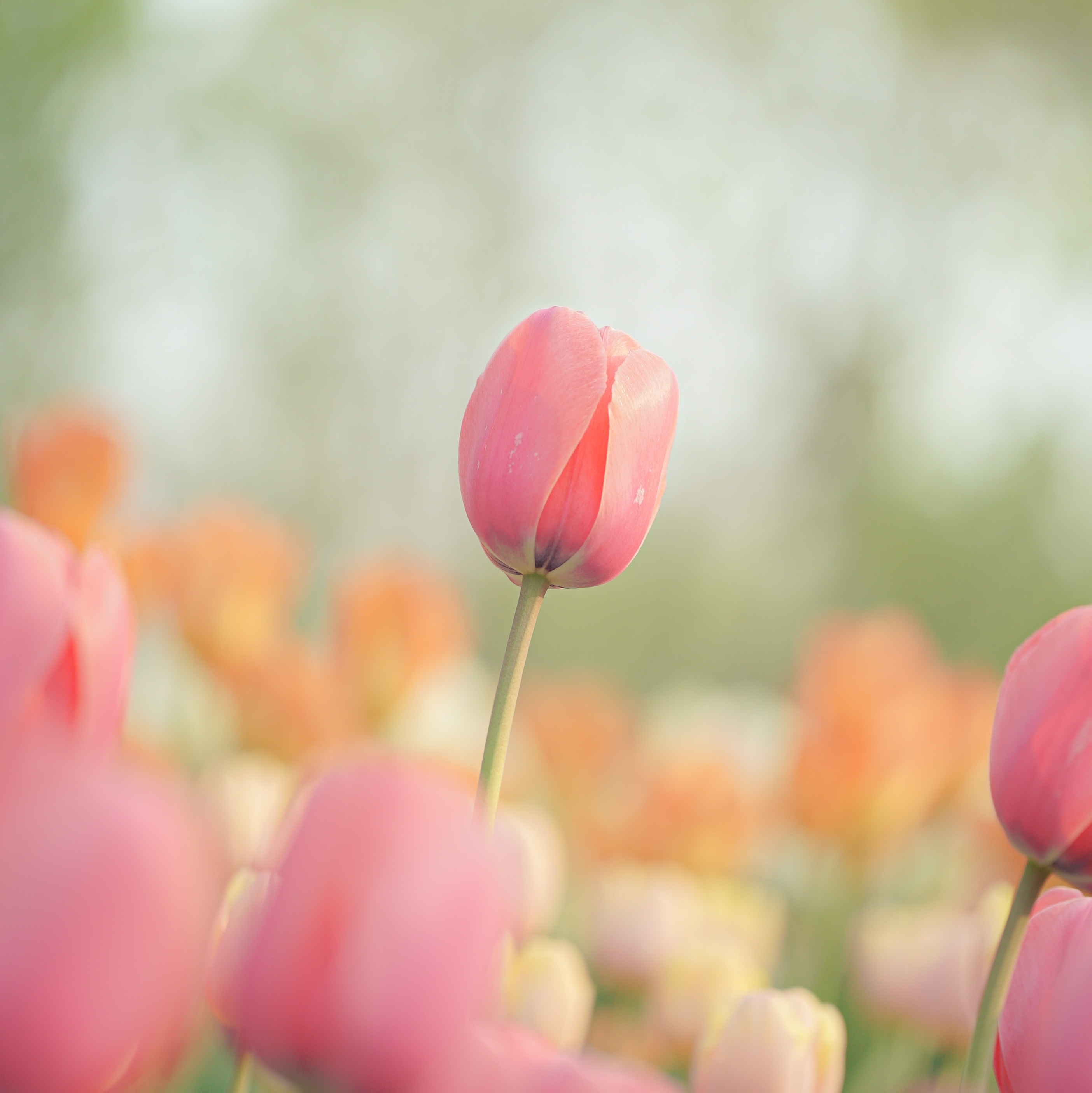 아워베리모먼트