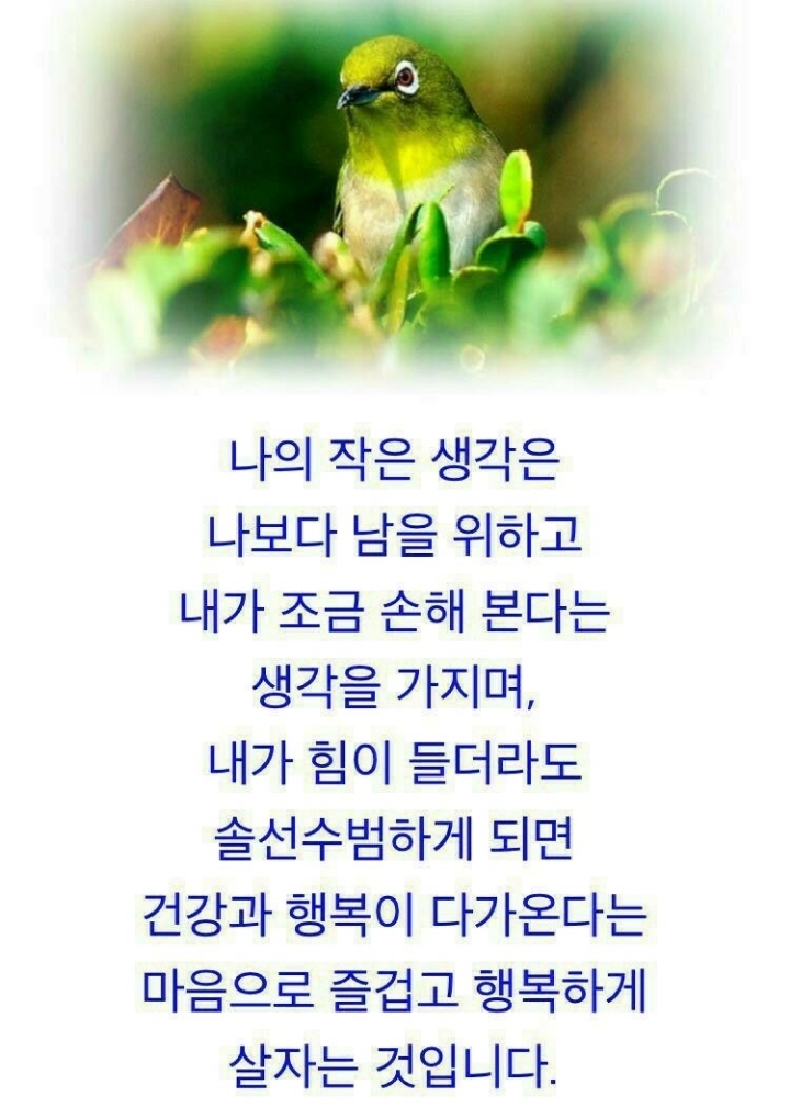 눈꽃여행 이미지