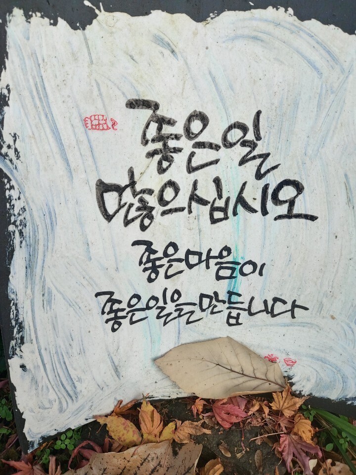 초록바다 이미지