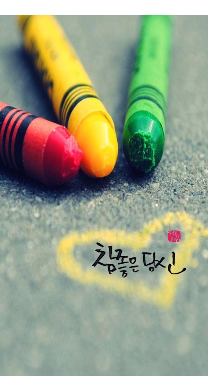 세실 이미지
