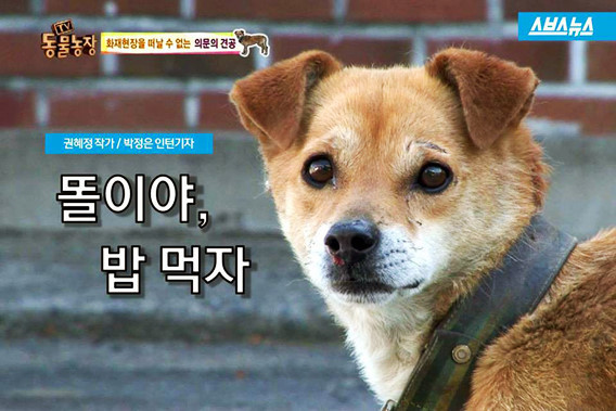 끼니 이미지